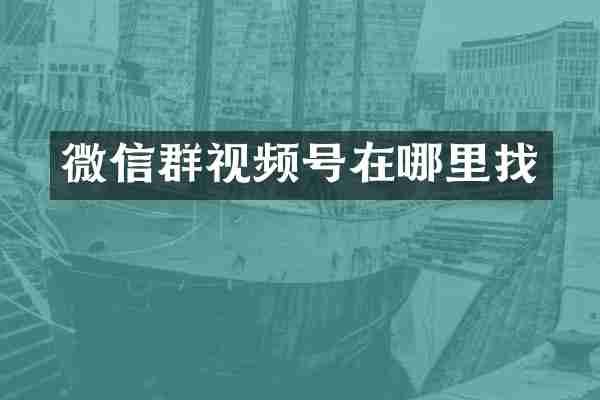 微信群视频号在哪里找