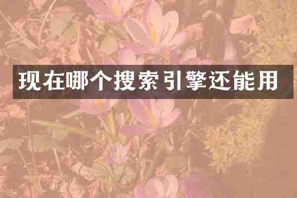 现在哪个搜索引擎还能用