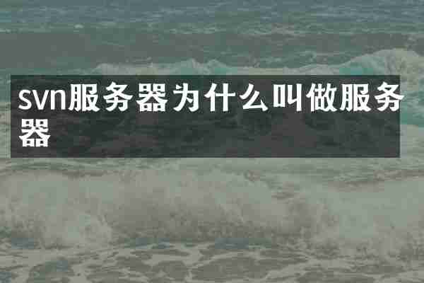 svn服务器为什么叫做服务器