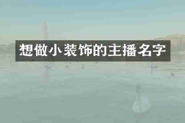 想做小装饰的主播名字