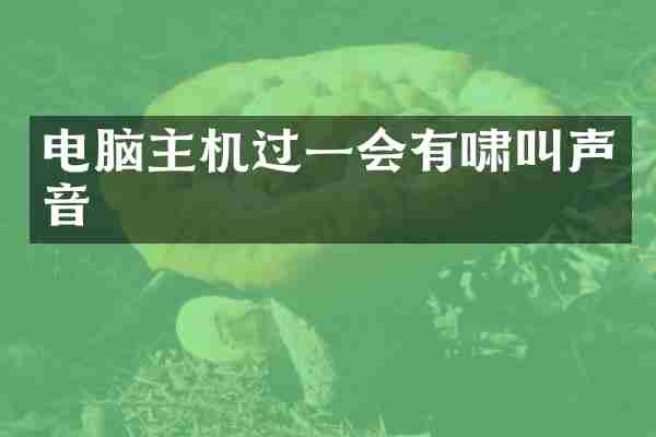 电脑主机过一会有啸叫声音