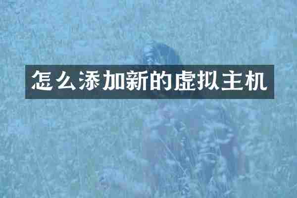 怎么添加新的虚拟主机