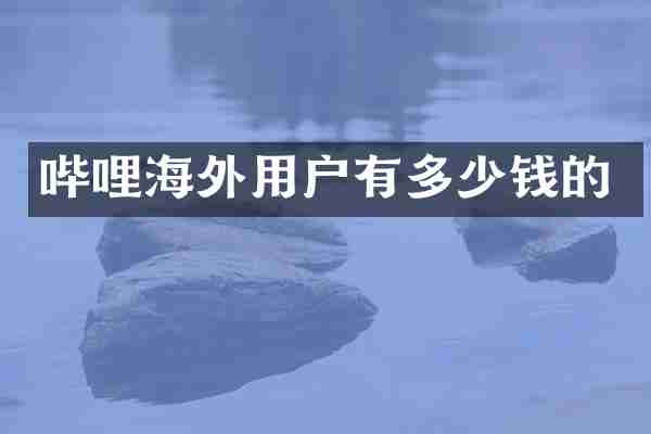 哔哩海外用户有多少钱的
