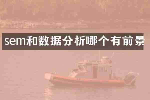 sem和数据分析哪个有前景