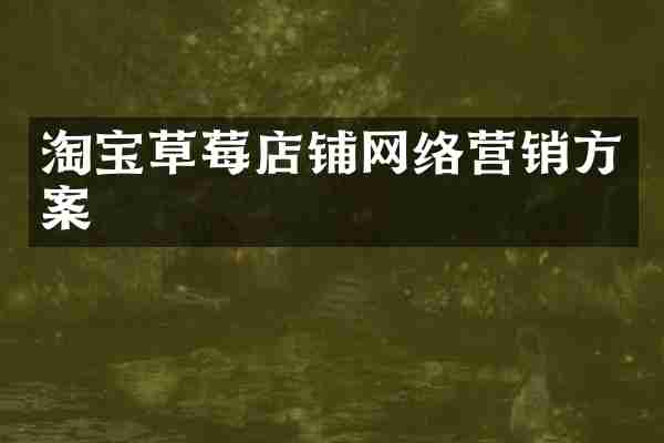 淘宝草莓店铺网络营销方案