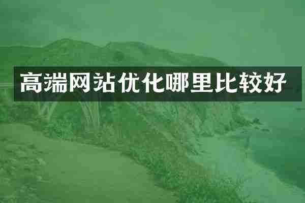 高端网站优化哪里比较好