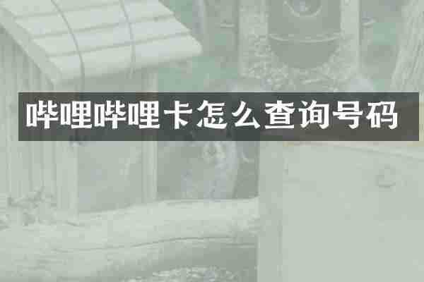 哔哩哔哩卡怎么查询号码