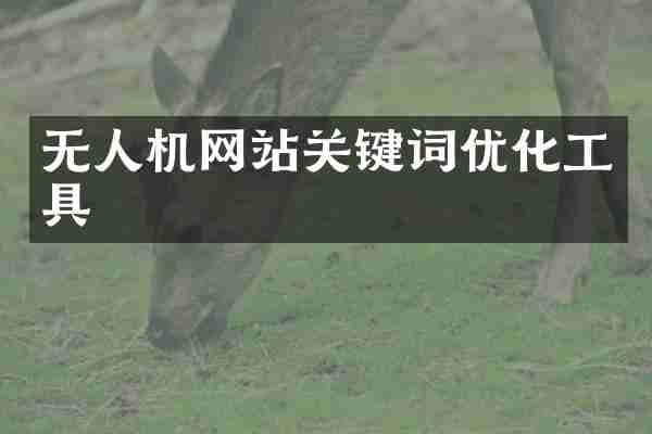 无人机网站关键词优化工具