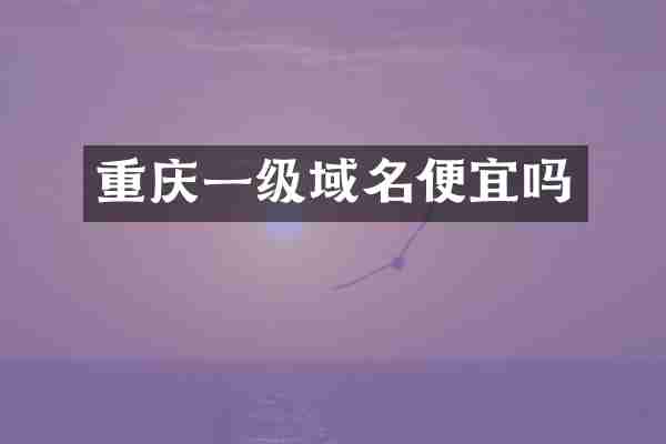 重庆一级域名便宜吗