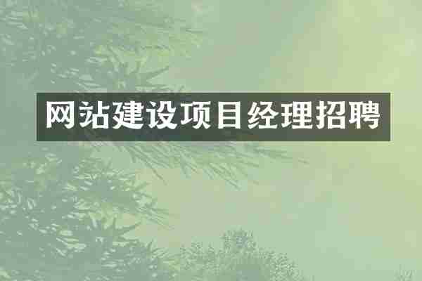 网站建设项目经理招聘