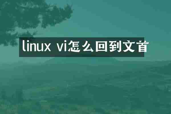 linux vi怎么回到文首