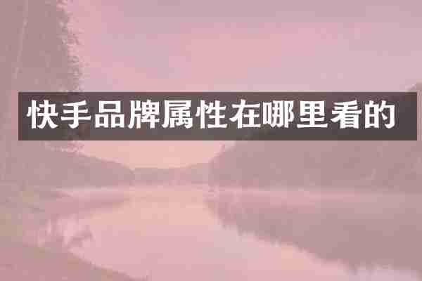 快手品牌属性在哪里看的