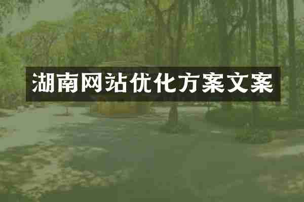 湖南网站优化方案文案
