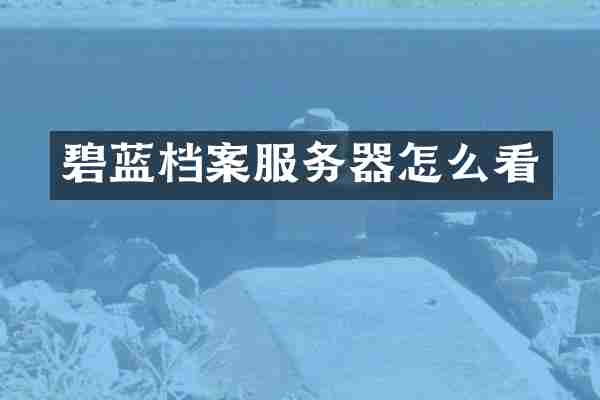 碧蓝档案服务器怎么看
