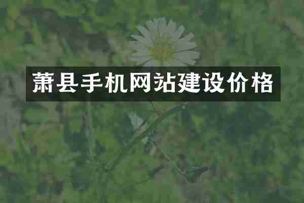 萧县手机网站建设价格