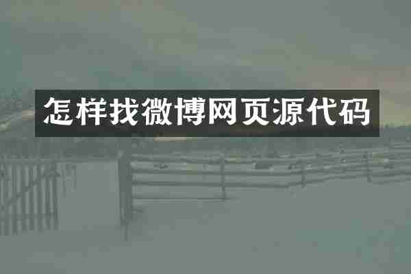 怎样找微博网页源代码