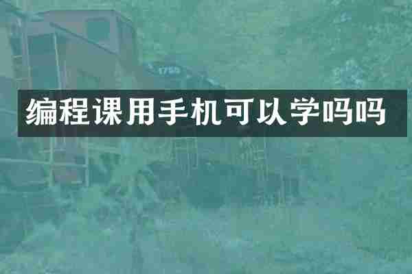 编程课用手机可以学吗吗