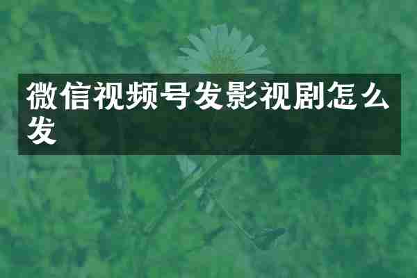 微信视频号发影视剧怎么发