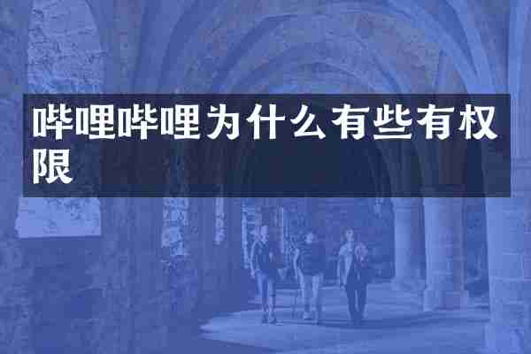 哔哩哔哩为什么有些有权限