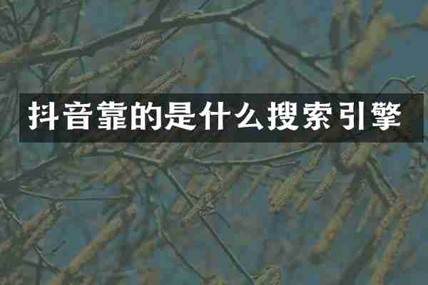 抖音靠的是什么搜索引擎