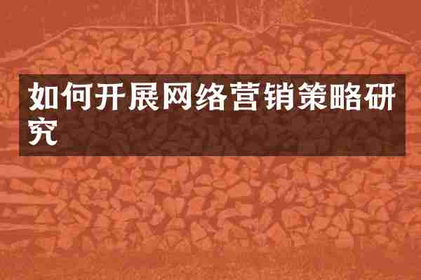 如何开展网络营销策略研究