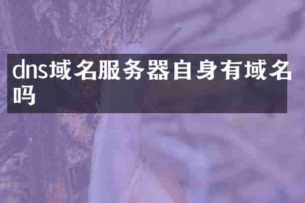 dns域名服务器自身有域名吗