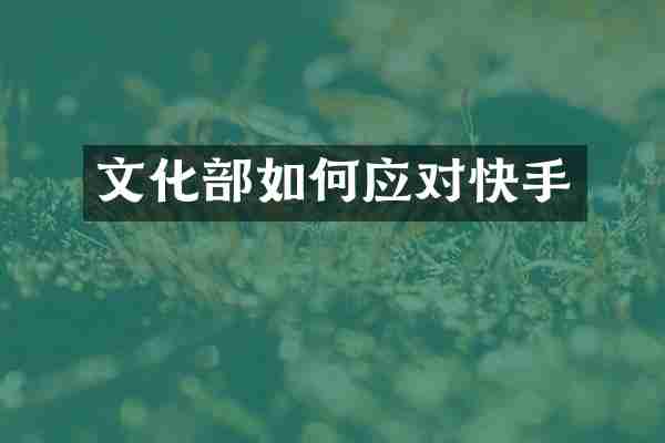 文化部如何应对快手