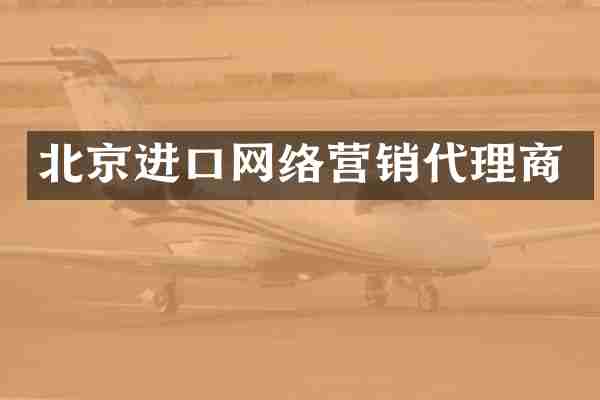 北京进口网络营销代理商