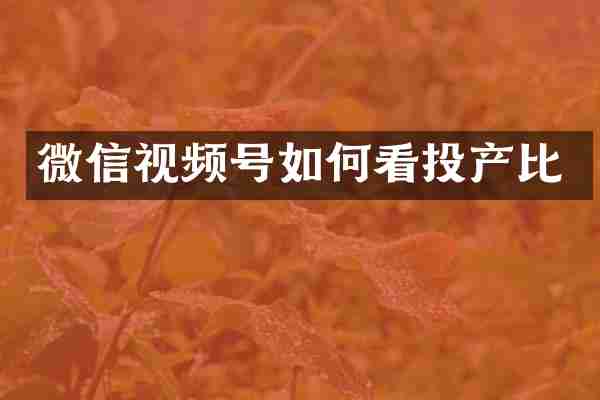 微信视频号如何看投产比