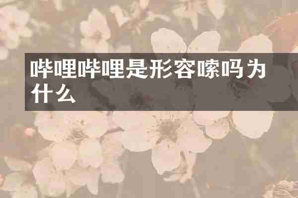 哔哩哔哩是形容啰嗦吗为什么
