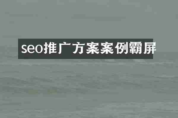 seo推广方案案例霸屏