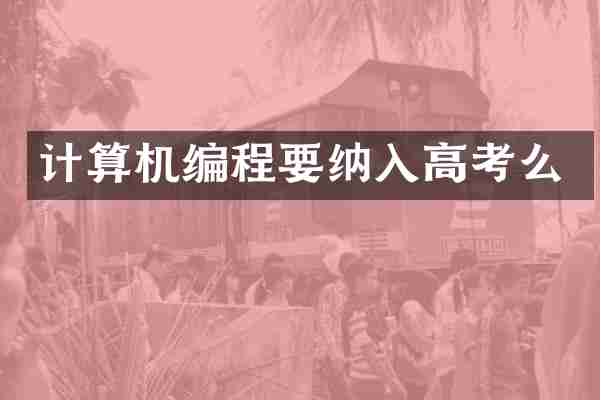 计算机编程要纳入高考么