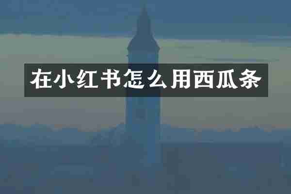 在小红书怎么用西瓜条