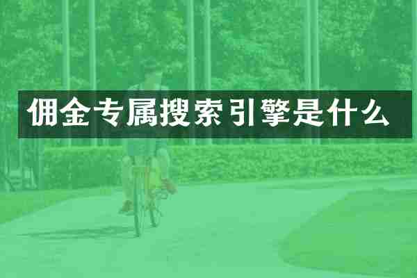 佣金专属搜索引擎是什么