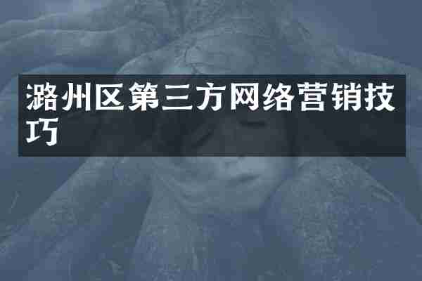 潞州区第三方网络营销技巧