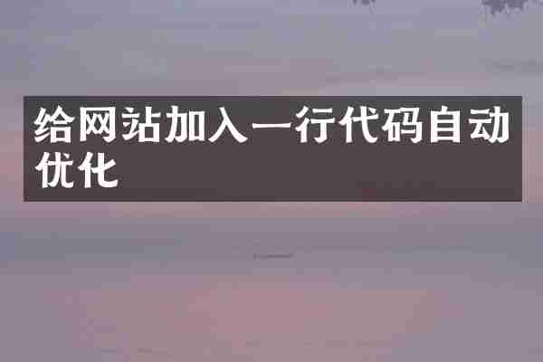 给网站加入一行代码自动优化