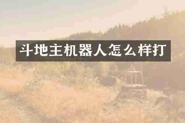 斗地主机器人怎么样打