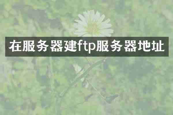 在服务器建ftp服务器地址