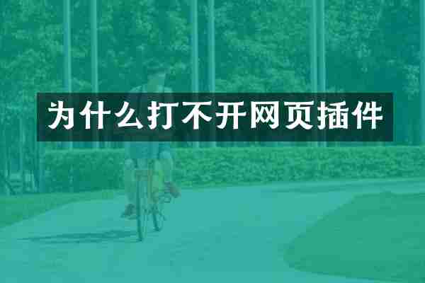 为什么打不开网页插件