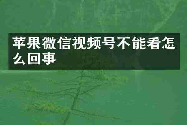 苹果微信视频号不能看怎么回事
