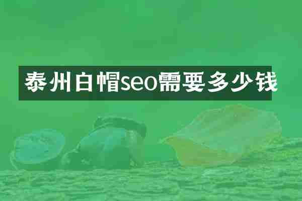 泰州白帽seo需要多少钱