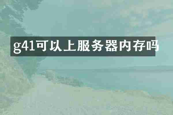 g41可以上服务器内存吗