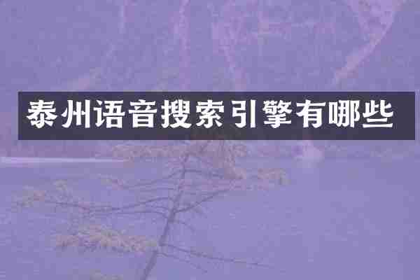 泰州语音搜索引擎有哪些