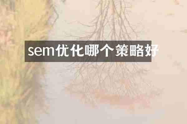 sem优化哪个策略好