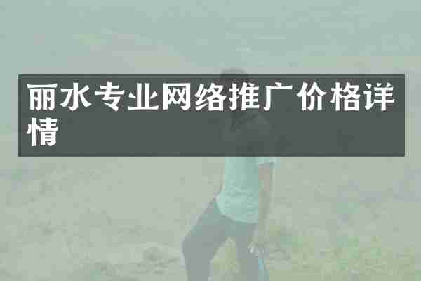 丽水专业网络推广价格详情
