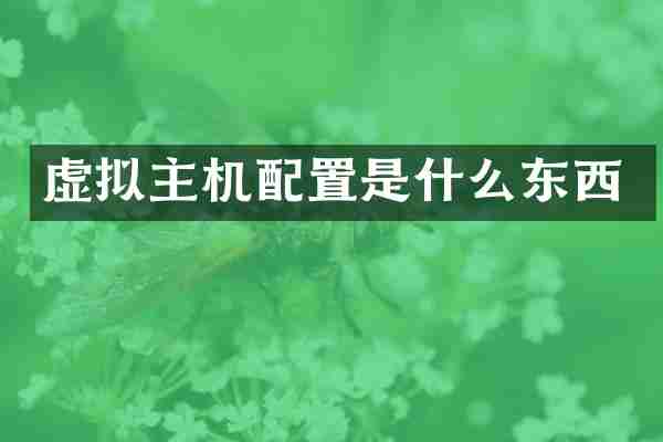 虚拟主机配置是什么东西