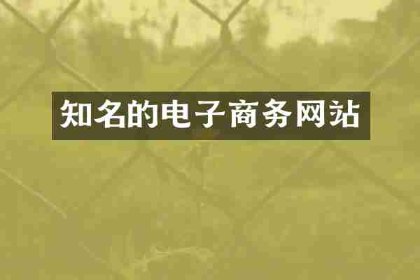 知名的电子商务网站