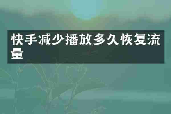 快手减少播放多久恢复流量