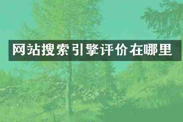 网站搜索引擎评价在哪里