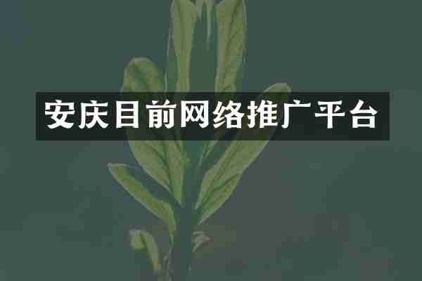 安庆目前网络推广平台
